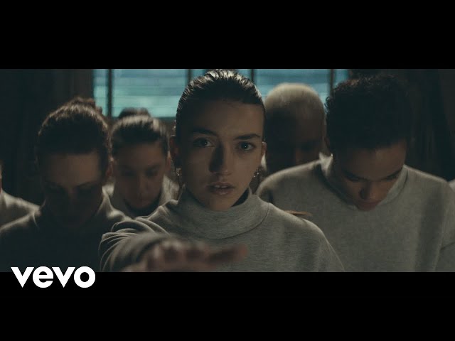 Canine - Twin Shadow (Official Video)