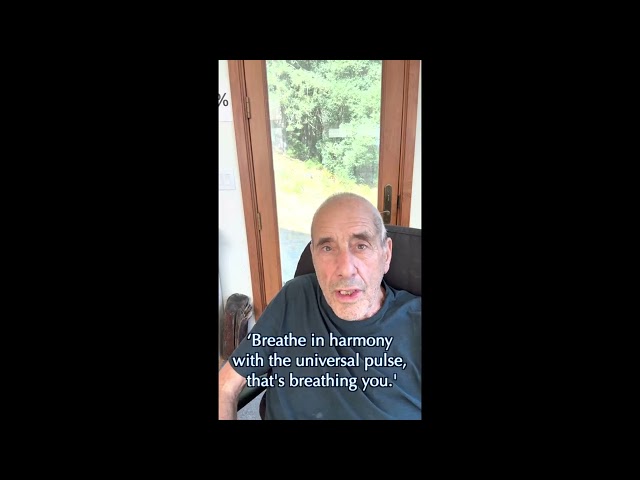 Quantum Aikido:The Essential Technique