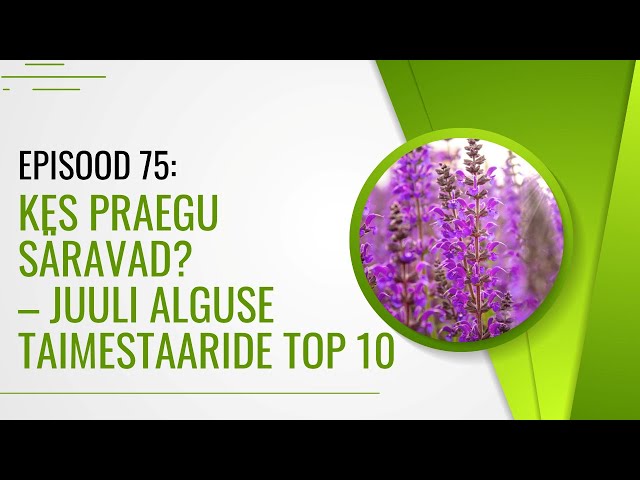 EPISOOD 75: Kes praegu säravad? – Juuli alguse taimestaaride TOP 10
