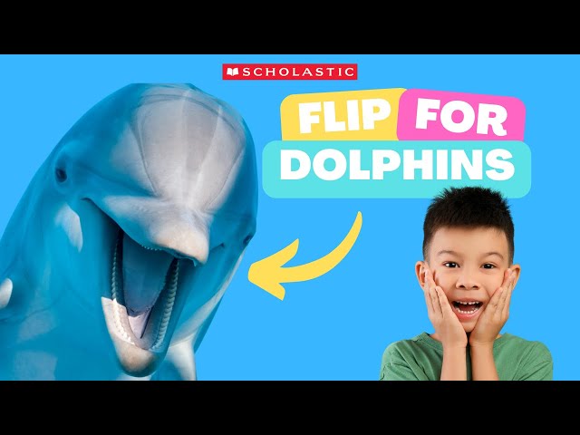 DOLPHIN 🐬 Facts for KIDS | DOLPHINS Ride Waves 🌊 for FUN