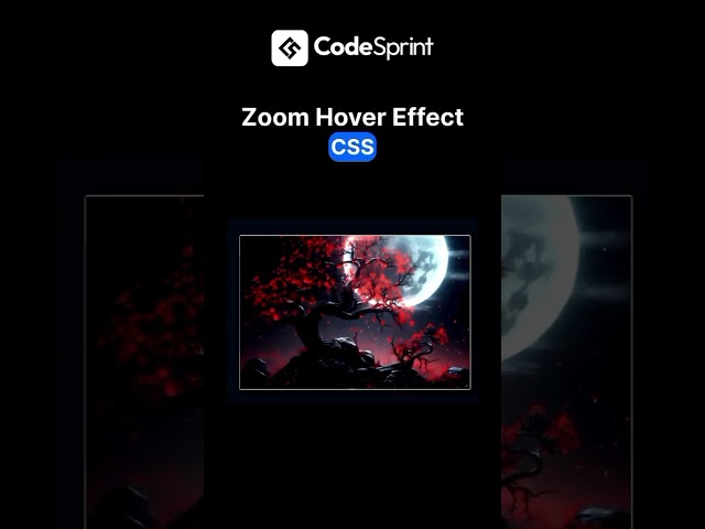 CSS Zoom Hover Effect Tutorial: Make Your Website Stand Out!🎥✨🎨🚀