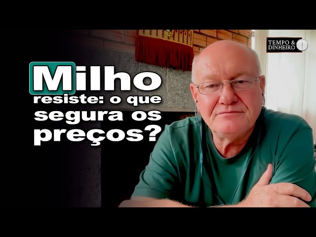 Corn is firm... even without buying pressure?