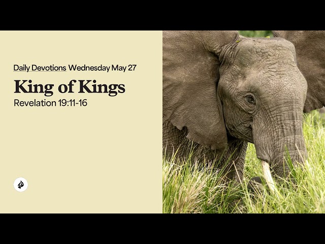 King of Kings – Daily Devotional