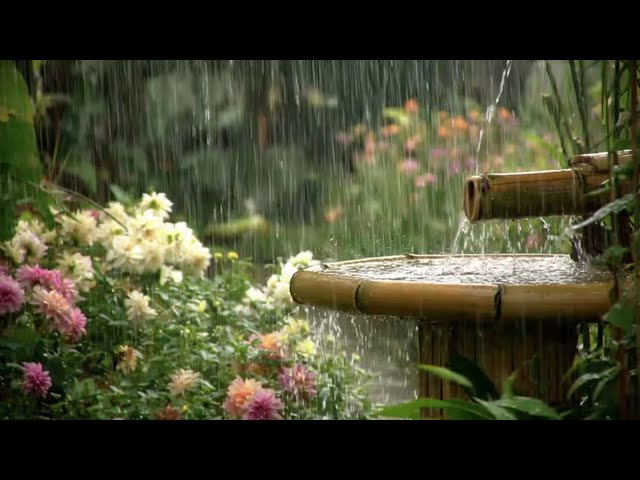 Please Listen !!! Heavy Rain & Bamboo Water Fountain Sounds for Deep Relaxation dan Sleeping
