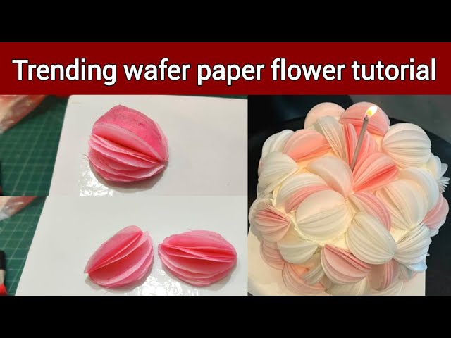 Wafer paper flower tutorial easy way @All.About.Baking_Nadiya.Tanvir 