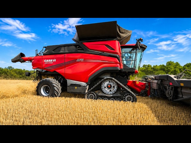 775 HP CASE IH AF 11 Combine Harvesting Wheat