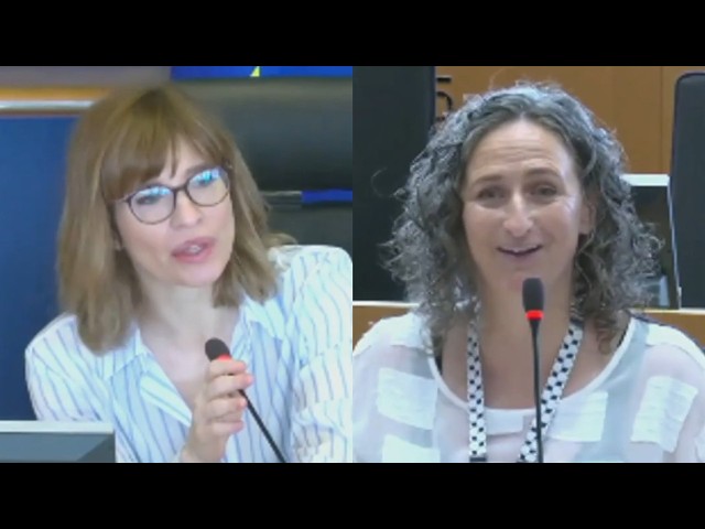 Language complaint during EU meeting backfires in awkward interaction