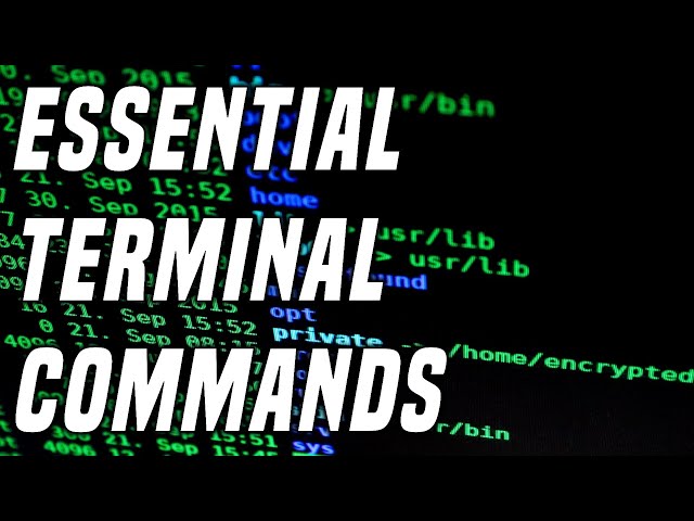 15 Useful Linux Commands Every Linux User Needs | Learning Terminal Part 1