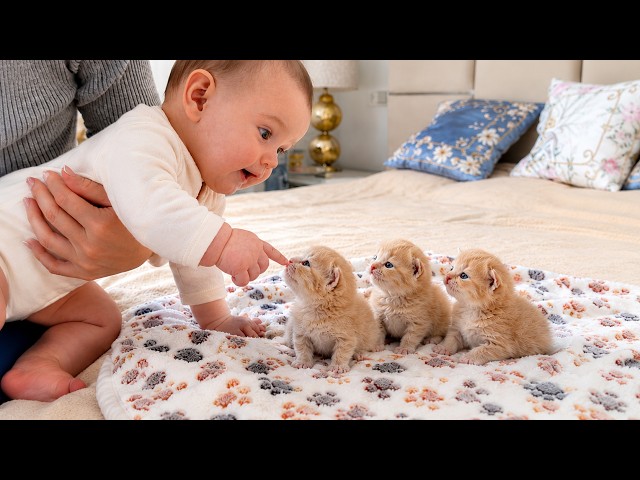 Baby Learns How to Pet Tiny Kittens for the First Time