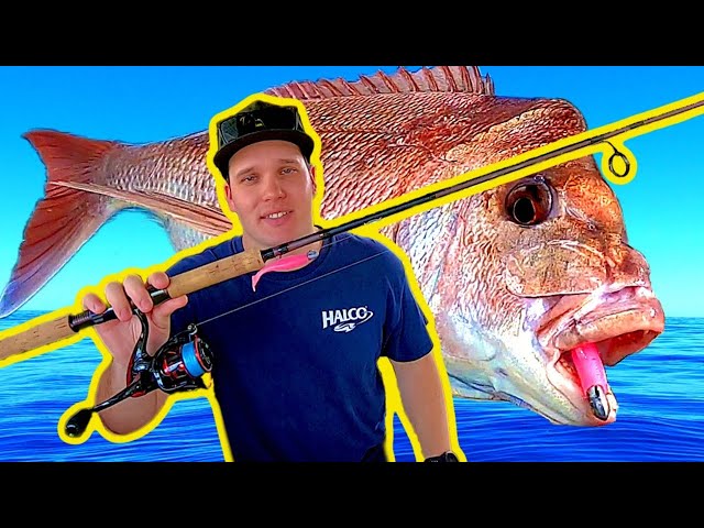 HOW TO CATCH SNAPPER ON SOFT PLASTICS (made simple!)