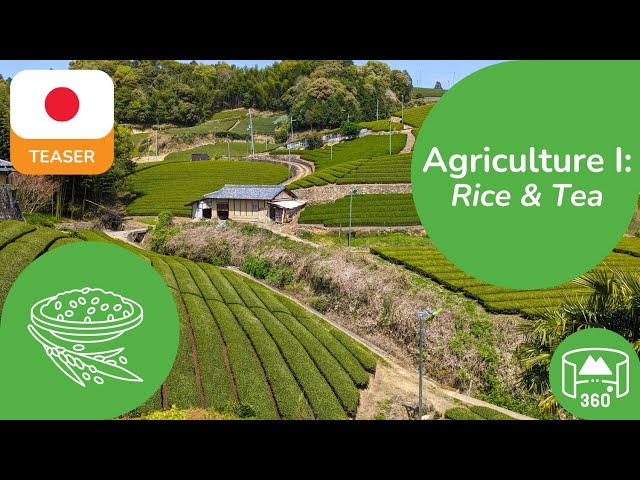 Japanese Agriculture I | 360 8K3D Teaser | Learn Japanese in VR | DYNAMIC LANGUAGES