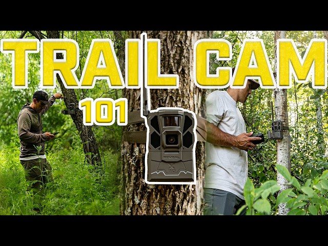 The Trail Camera Master Guide | EVERYTHING You Need To Know
