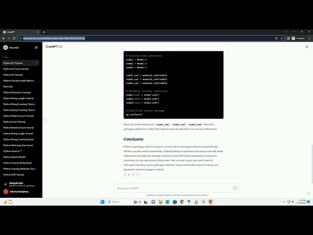 python garbage collector example