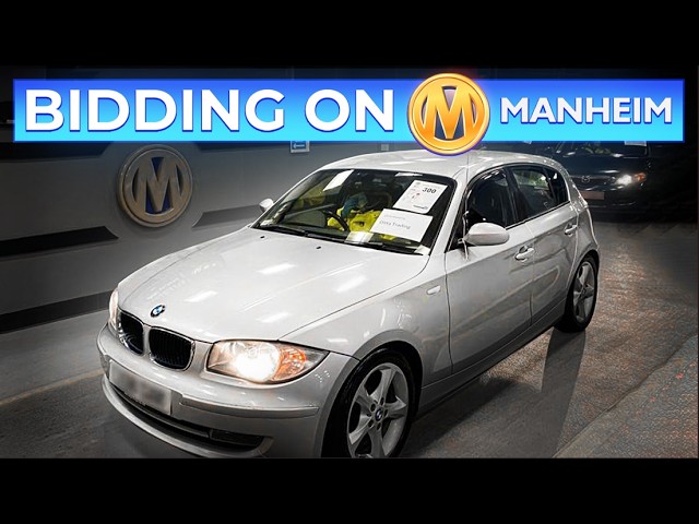 Manheim Auto Auction (Full Buying Tutorial)