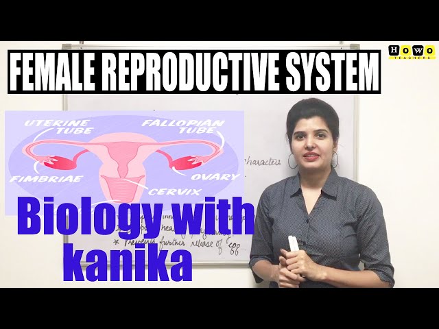 FEMALE REPRODUCTIVE SYSTEM IN ONE SHOT | PART III REPRODUCTION | KANIKA CLASSES | HOWO