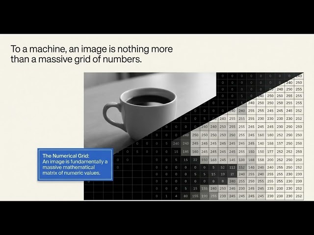 Introduction to Digital Image Processing | Digital Image Processing (DIP) Lecture 1