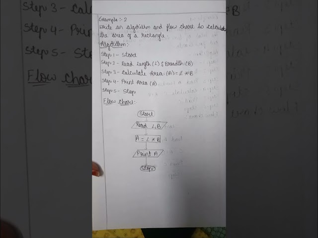 Example 2 of algorithm and flow charts in c language