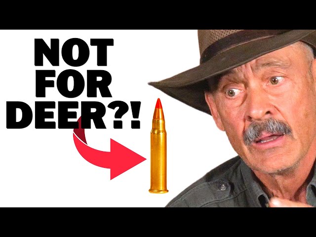 Varmint Rounds For Deer Hunting - How Small Is Too Small?
