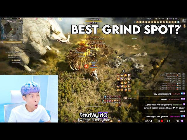 BEST GRIND SPOT 2027? | Black Desert Highlights