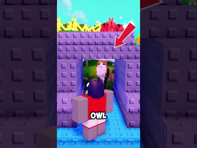 Did you know this secret in Plants vs Brainrots?