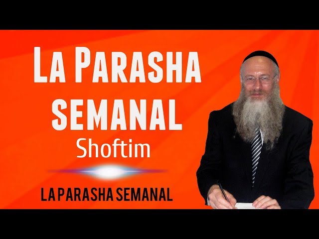 The weekly Parasha - Shoftim