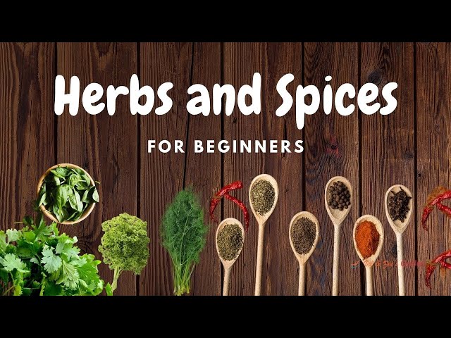 Herbs and Spices for Beginners | How to use Herbs and Spices | Vil and Zoe's Galley