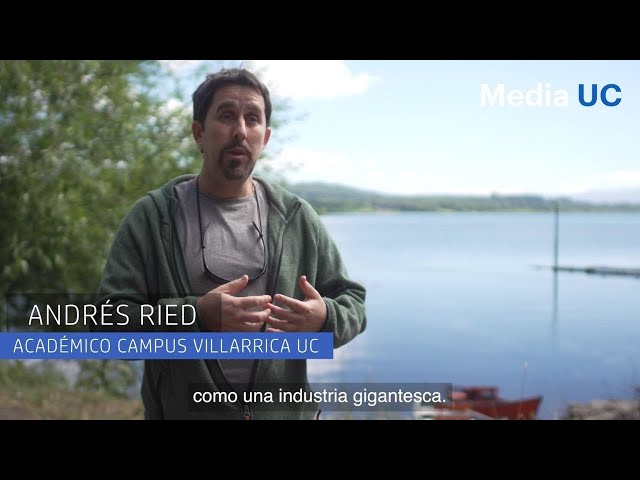 ¿Por qué es necesario el ocio?
