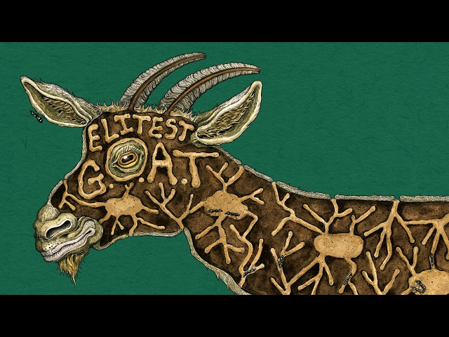 Sleaford Mods feat. Aldous Harding - Elitest G.O.A.T. (The Prodigy Acid Thunder Remix)