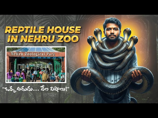 Hyderabad nehru zoo reptile house in telugu నెహ్రూ జూలాజికల్ పార్క్ రిప్టైల్ హౌస్ #zoo  #hyderabad
