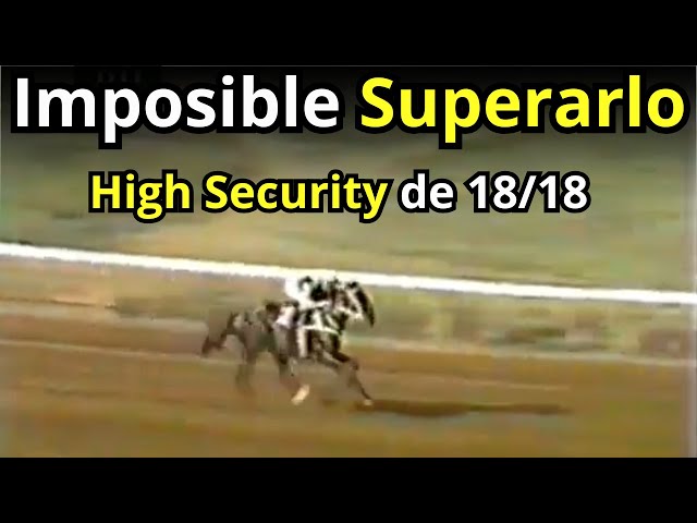 18 VICTORIAS de High Security: No habrá otro caballo en VENEZUELA que supere lo que hizo