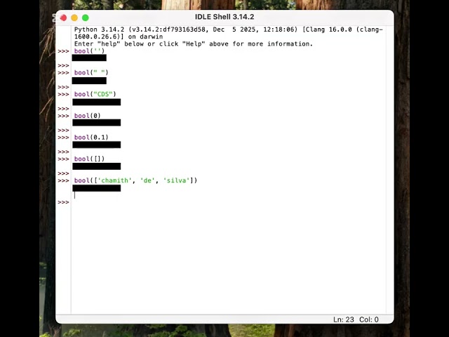 Python bool() Quiz: Can You Guess True or False?