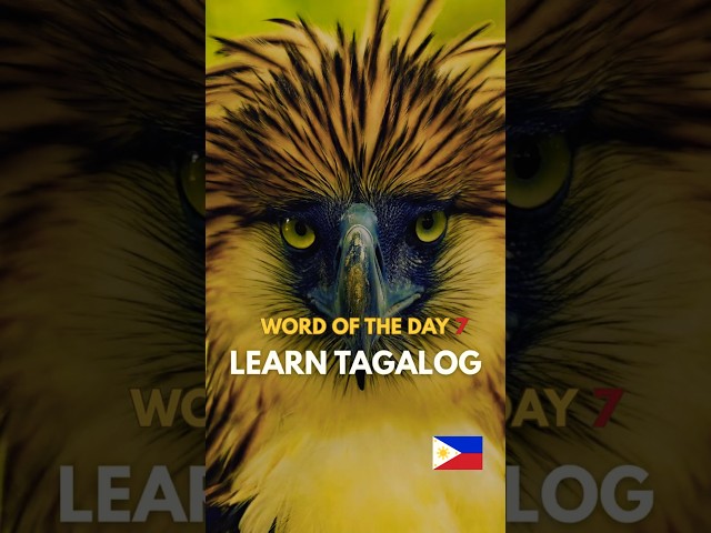 TAGALOG WORD OF THE DAY🤔💭DISCOVER THE BEAUTY OF THE FILIPINO LANGUAGE VIDEO 7