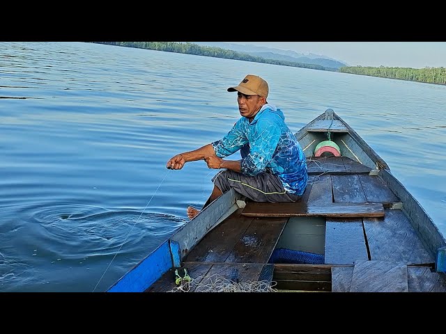 CONSTANTLY HOOKING BARRAMUNDI, NEW SPOT IS ABSOLUTELY ON FIRE, ESTUARY FISHING IN BERAU USING LIV...