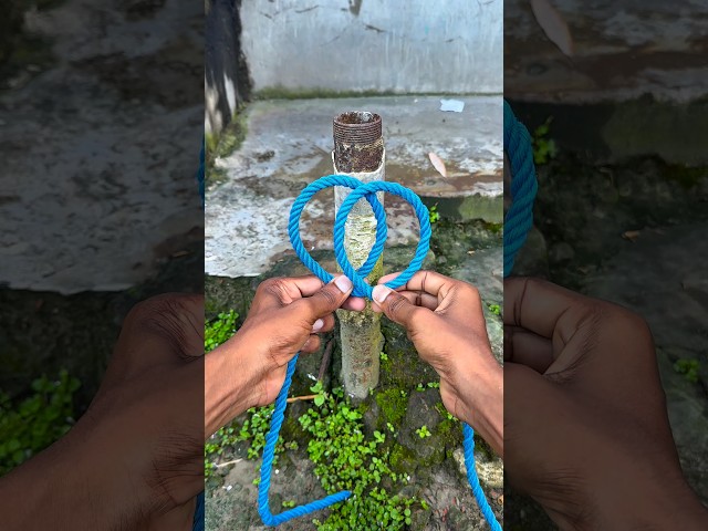 Smart Rope Knot for a Secure Loop | Easy Tutorial 🪢 #lifehacks #survival #shorts