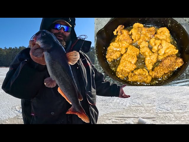 Catfish Ice Fishing CATCH AND COOK