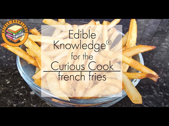 French Fry Science Overview