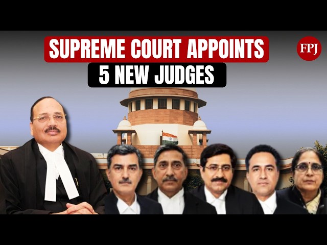 Supreme Court Gets 5 New Judges Amid 93,000 Pending Cases: Will Justice Speed Up?