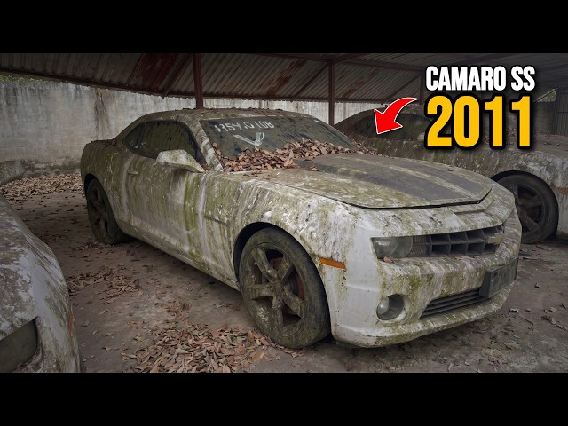 ¡COMPRÉ un CAMARO SS V8 que NADIE QUISO por $60K en SUBASTA! VALIÓ la PENA?