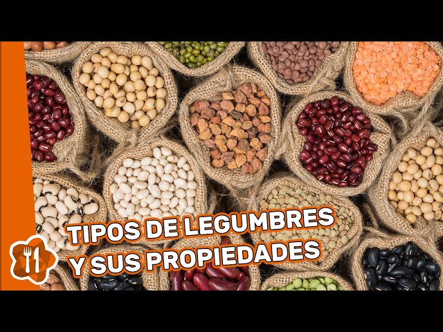 Tipos de legumbres y sus propiedades