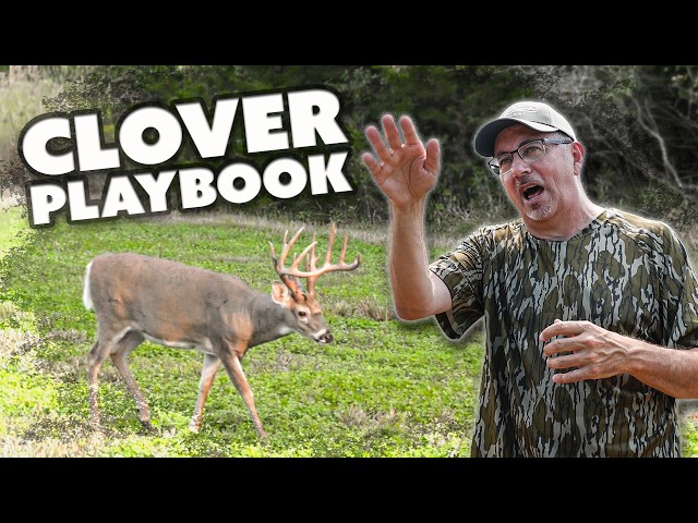 CLOVER Food Plot BREAKDOWN - From START to FINISH | Deer Season 24