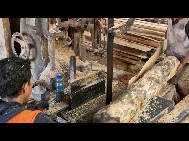 SUPER FAST Sawmill Cutting: Turning Raw Timber into Perfect Planks!