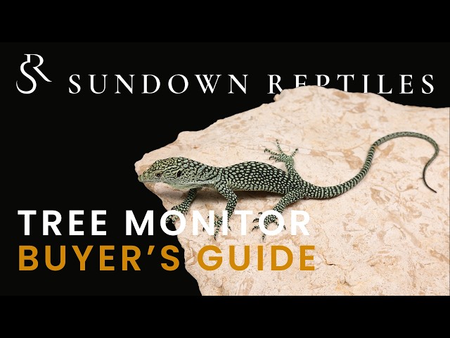Tree Monitor Buyer's Guide