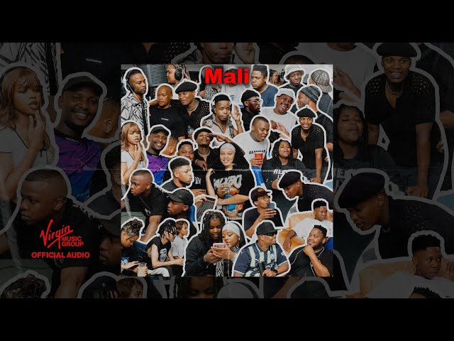 Mali - Dlala Thukzin, Zee Nxumalo feat. Sykes (Official Audio)
