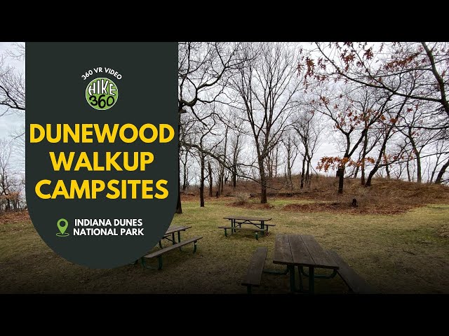 Indiana Dunes National Park - Dunewood Walkup Campsites #63 (360° VR Video)