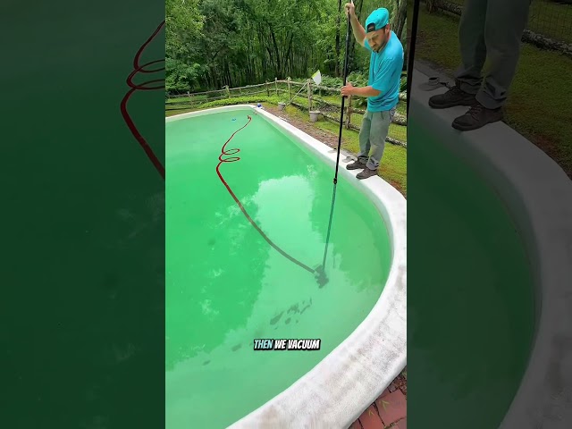 This pool was brown like sewage water #poolcleaning #poolmaintenance #poolguy #poolcare #poolservice