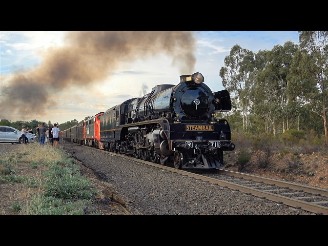 Steamrail Victoria's Bendigo Easter Festival Tour with R711 & A66