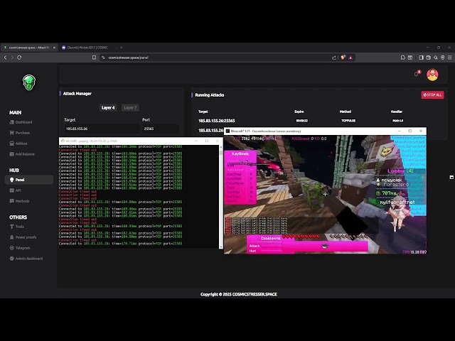 COSMIC STRESSER VS BIG MINECRAFT SERVER 1000 people | DDOS BEST C2/BOTNET/API 2026