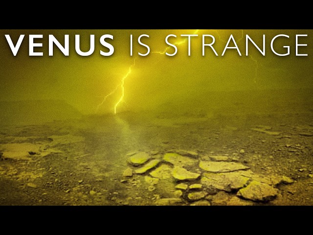 What They Found on Venus Is Terrifying