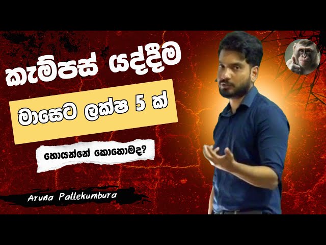 කැම්පස් ගිහින් ඩිග්‍රිය ගන්නත් කලින් මාසෙට ලක්ෂ 5 ක පඩියක්‌ ||@arunapallekumbura 