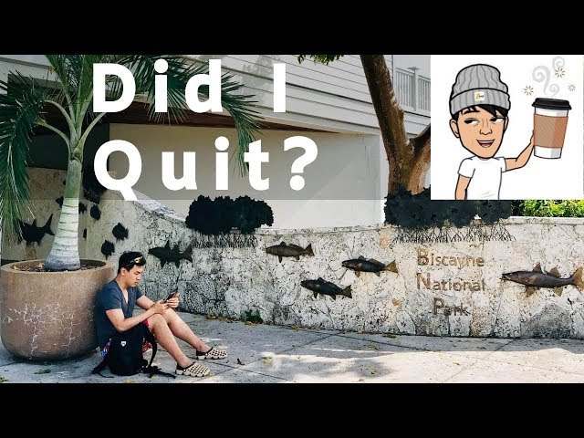 6 Reasons Why I Dropped Out Of Thinkful Online Coding Bootcamp After 6 Weeks